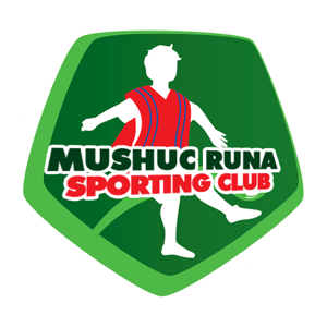 維諾廷托FC