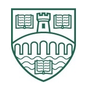 市民服務(wù)者