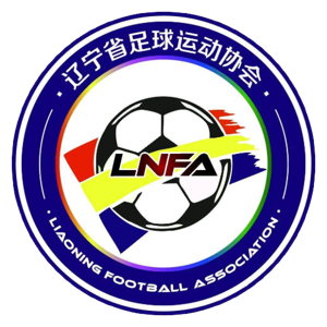 上海農(nóng)商銀行女足